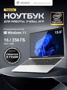 Ноутбук 15.6" Echips NB100A, Intel Gold 6500Y, RAM 16 ГБ, SSD 256 ГБ IPS